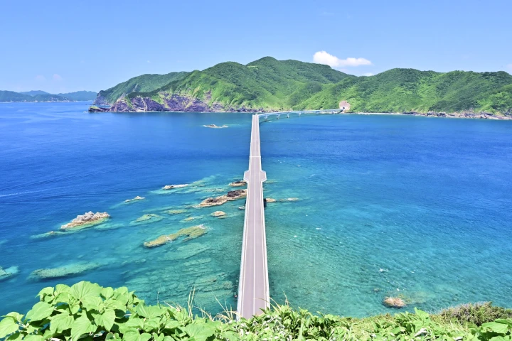 離島医療の医療アクセス実証事業のイメージ